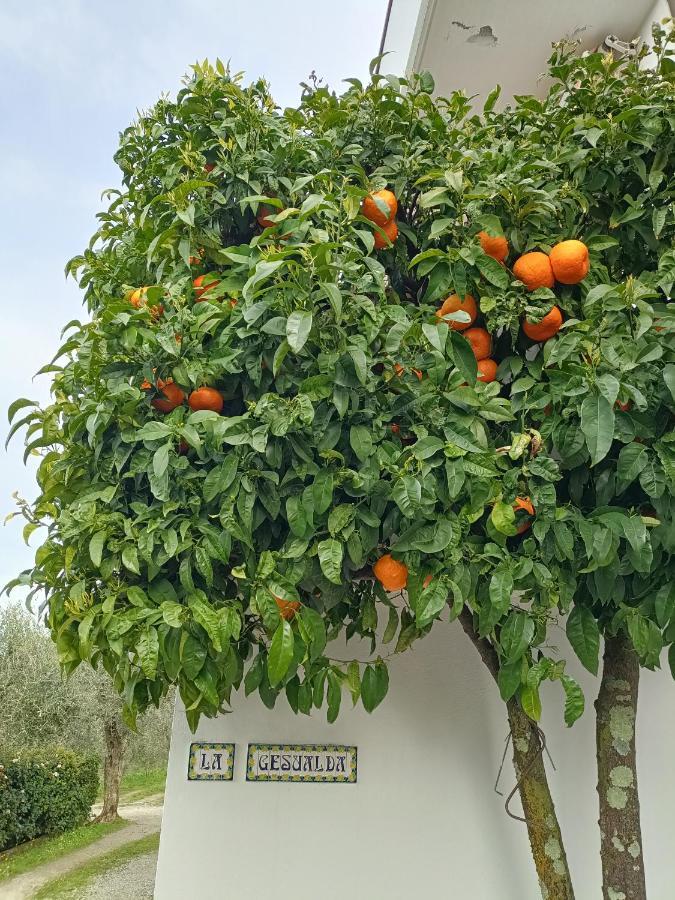 Locazione Turistica La Gesualda Castelnuovo Magra Exterior foto