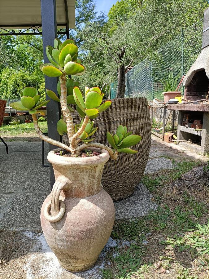 Locazione Turistica La Gesualda Castelnuovo Magra Exterior foto